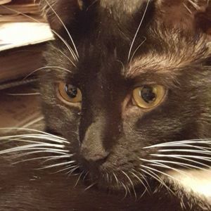 Meet your Posher, Nancy